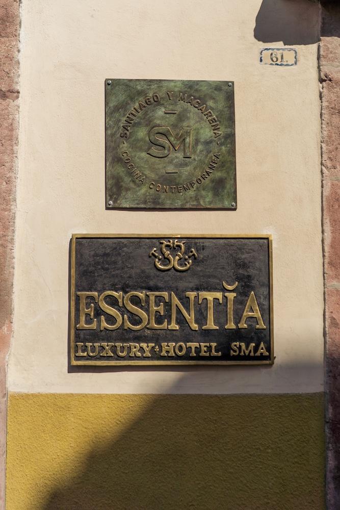 The Essentia Hotel San Miguel San Miguel de Allende Exterior foto